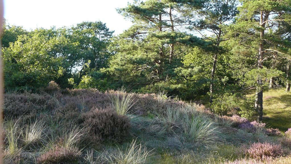 'T Kasteeltje Villa Bergen Bagian luar foto